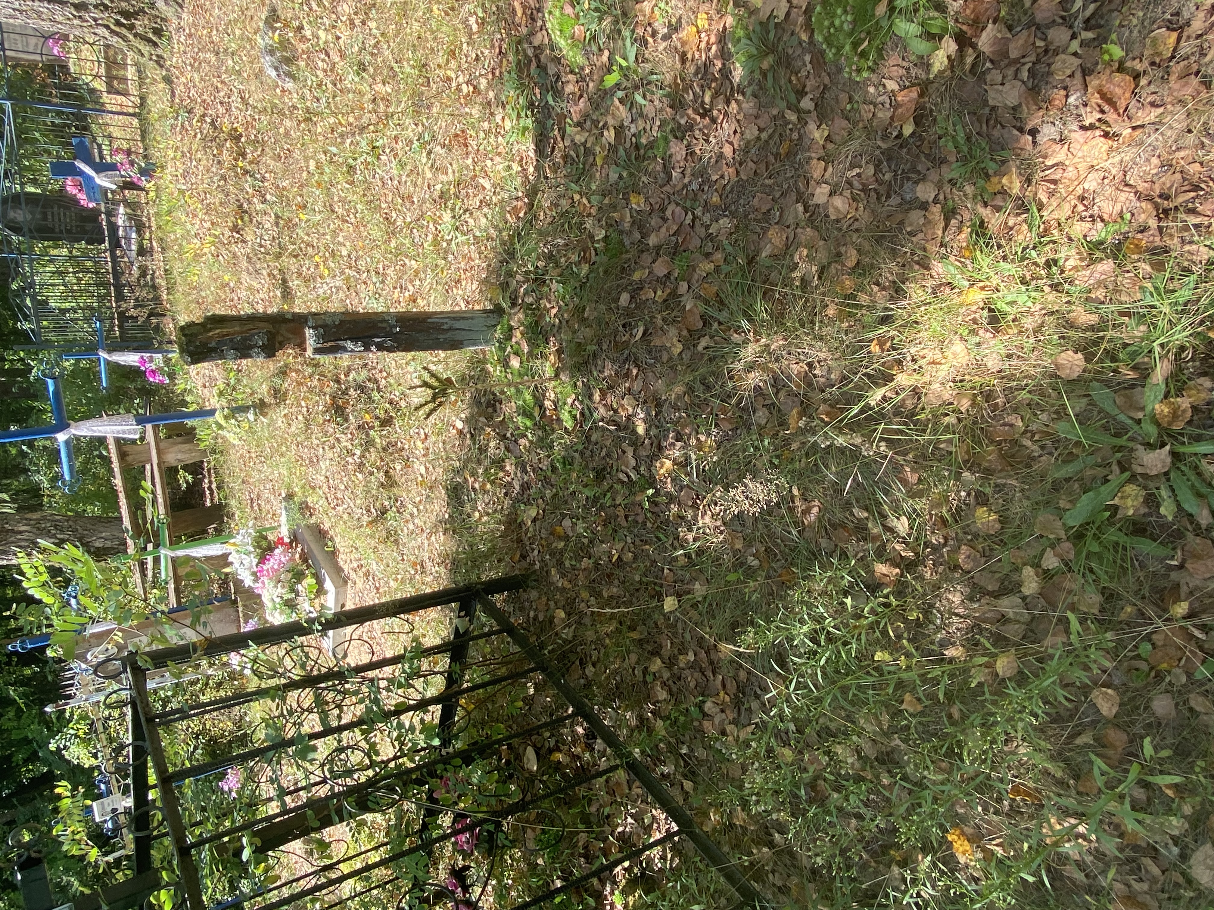 Фотография надгробия